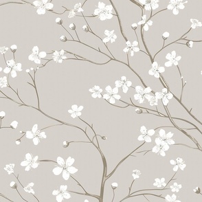 Dogwood Tree Blossoms  -   Warm Gray Wallpaper