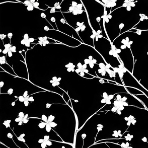 Dogwood Tree Blossoms  -    White on  Black Wallpaper