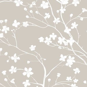 Dogwood Tree Blossoms  -    White on  Agreeable Gray Wallpaper