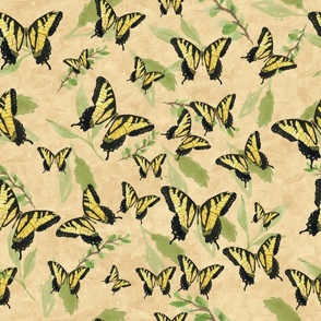 Tiger Swallowtail10" 