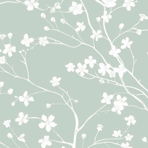 Dogwood Tree Blossoms  - White on  Palladian Blue Wallpaper 