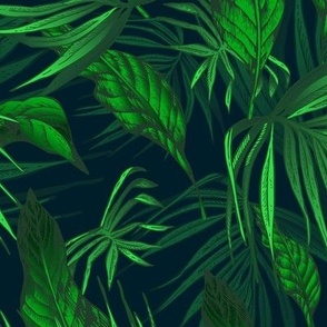 Emerald green tropical leaves on black