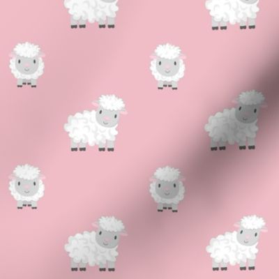 Sheep on pink  