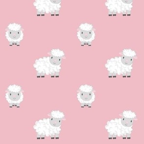 Sheep on pink  