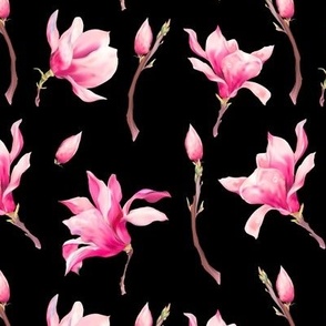 Pink Magnolia Flowers on Black