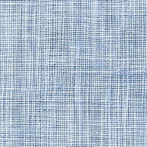 Burlap Weave - Cornflower