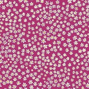 (XS) Tiny micro quilting floral - small white flowers on Bubble Gum (dark pink) - Petal Signature Cotton Solids coordinate