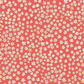 (XS) Tiny micro quilting floral - small white flowers on Coral red - Petal Signature Cotton Solids coordinate