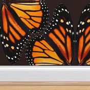 Orange Monarch Butterfly Wings