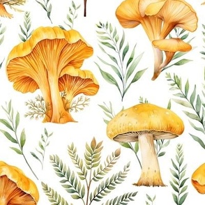 Forest mushrooms and plants