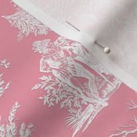 Marseilles Toile  ~ Paper Cut on Sloane Pink ~ Large