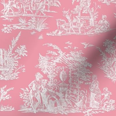 Marseilles Toile  ~ Paper Cut on Sloane Pink ~ Large