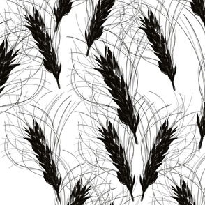 Black and white wheat spikelets 