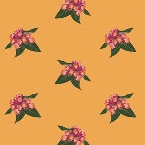 Sunny Orchid Daydream - Warm-Toned Tropical Clivia Pattern for Inviting Home Accents