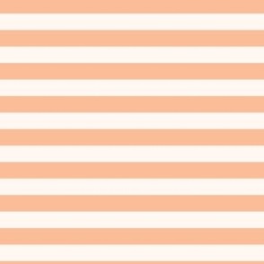 half" Navy Stripes -27