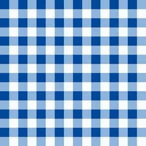 Blue_0.5 inch gingham