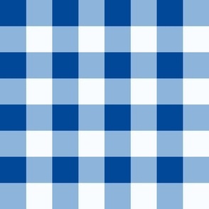 Blue_1 inch gingham