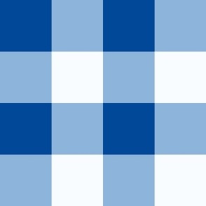 Blue_2 inch gingham