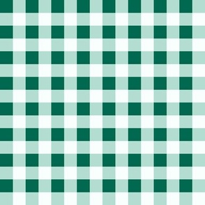 Green_0.5 inch gingham