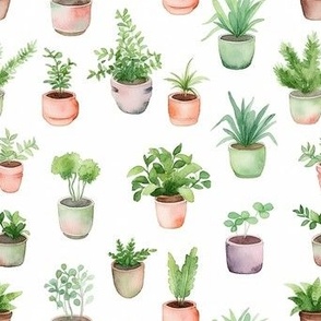 cute herb pots
