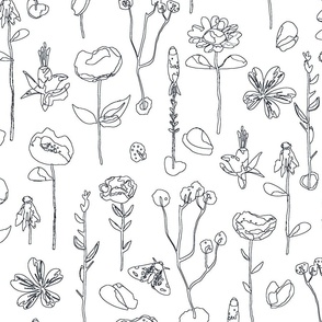 Floral Line Art Black and White