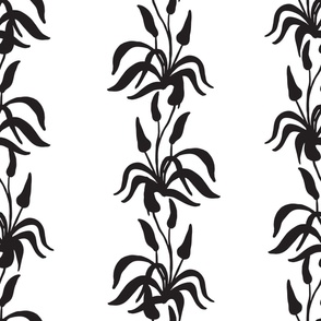 LARGE TRADITIONAL HAND DRAWN MONO DESERT FLOWER BOTANICAL STRIPE-WHITE BASE WITH BLACK