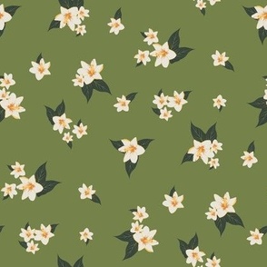 Olive Grove Florals: Creamy Blossoms Dance on Mossy Hues – Serene Nature Inspired Print