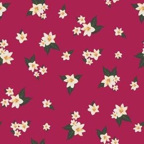 Orchid Bunches on Crimson: Exquisite Floral Array – Bold Orchid Bloom Fabric Design