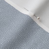 Irregular dots texture silver