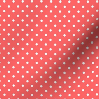 Up Up and Away Fly High Aviator Nursery Coral Polkadots