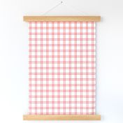 Smaller Up Up and Away Fly High Aviator Nursery Coordinate Plaid in Coral