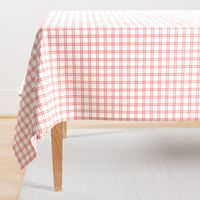 Smaller Up Up and Away Fly High Aviator Nursery Coordinate Plaid in Coral