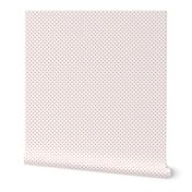 Up Up And Away Fly High Aviator Nursery Coral Polkadots on White