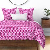 Imperial Trellis-Fuchsia/White-Large