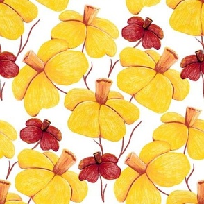 Yellow and red pencil flowers