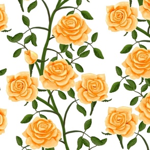 Gold Rose Wall on White