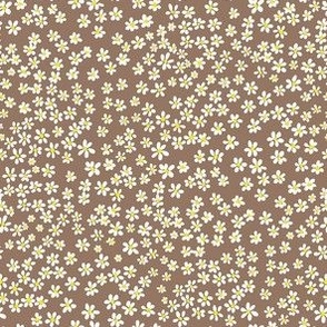 (XS) Tiny micro quilting floral - small white flowers on Mocha brown - Petal Signature Cotton Solids coordinate