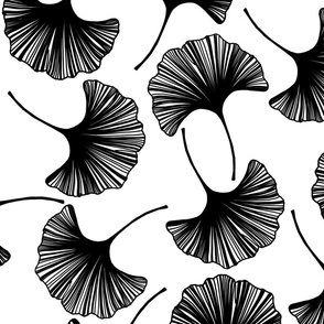 Gingko Leaves in Black and White