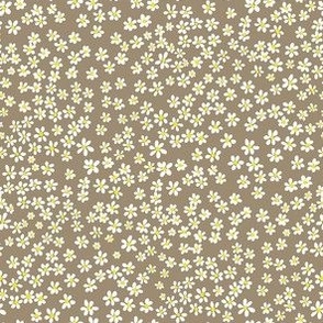 (XS) Tiny micro quilting floral - small white flowers on Mushroom brown - Petal Signature Cotton Solids coordinate