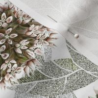 [Medium] Milkweed neutral pink on foliage