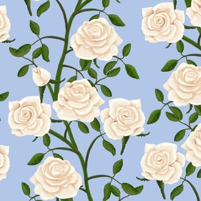 White Rose Wall on Light Blue