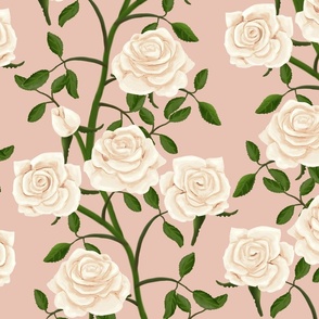 White Rose Wall on Pinkish Beige