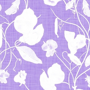 Art and crafts watercolor white and light purple sweet peas (extra large/ jumbo scale)