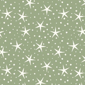 Stars and Snow // Laurel Green