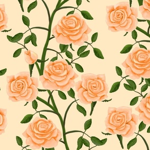 Peach Colored Rose Wall on Palest Yellow