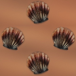 Metallic Ombre Sea Shells on Sand