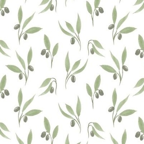 Hand Drawn Olives tonal sage small