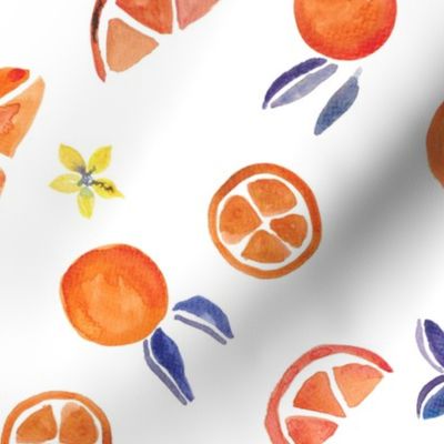 Watercolor Sicilian Oranges  -orange_ blue_ purple | SKU 2404261406 | watercolor fruits |