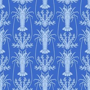 (M) crustacean Languste in white folkart on blue