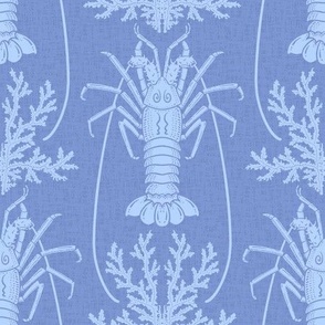 (M) light Blue Languste crustacean- monochrome